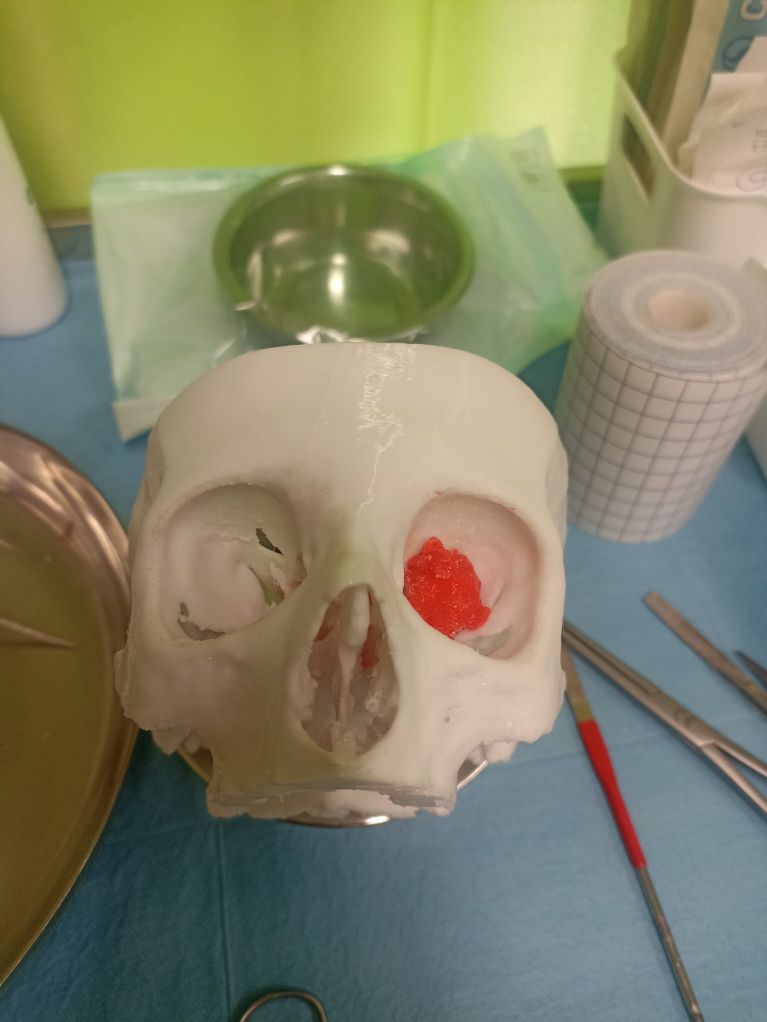 Modello anatomico per formazione